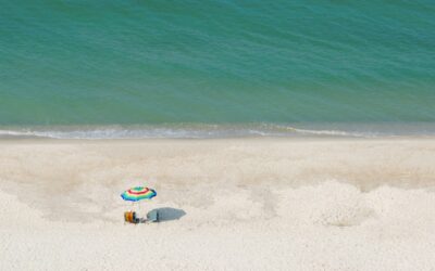Reducing Annual Leave Entitlements Introducing A Buy Back Scheme